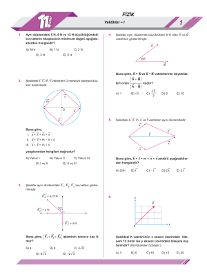11. Sınıf FİZİK - YAPRAK TEST