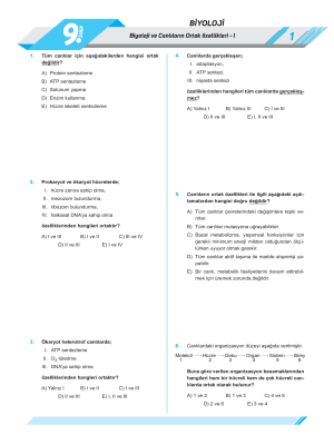 9. Sınıf BİYOLOJİ - YAPRAK TEST