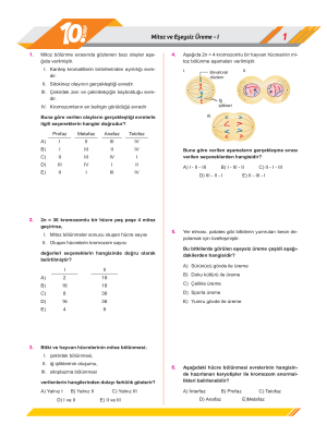 10. Sınıf BİYOLOJİ - YAPRAK TEST